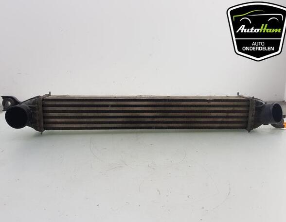 Intercooler MINI MINI (R56)