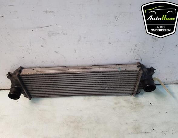 Intercooler OPEL VIVARO A Van (X83), RENAULT TRAFIC II Van (FL)