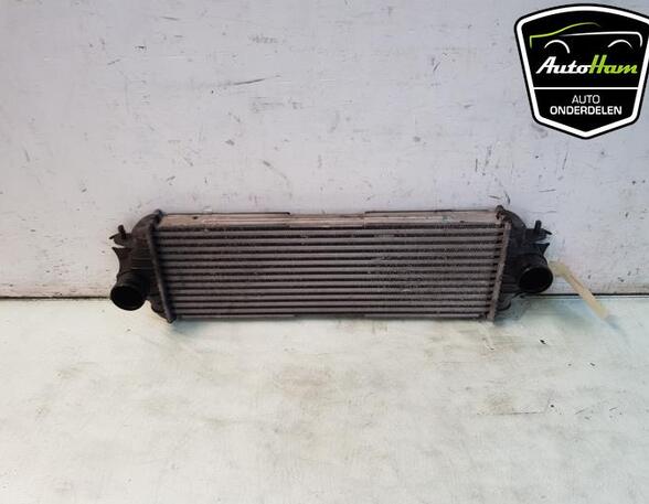 Intercooler OPEL VIVARO A Van (X83), RENAULT TRAFIC II Van (FL)