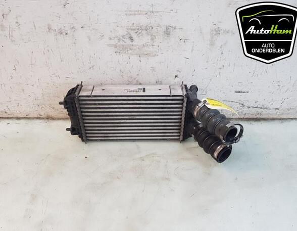 Intercooler OPEL MOKKA, PEUGEOT 2008 II (UD_, US_, UY_, UK_), OPEL CORSA F (P2JO)