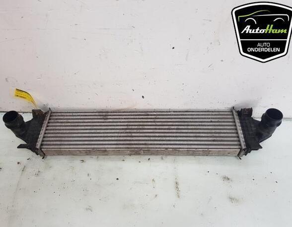 Intercooler FORD TRANSIT V363 Bus (FAD, FBD), FORD TRANSIT V363 Van (FCD, FDD)