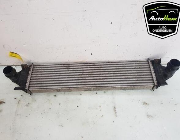 Intercooler FORD TRANSIT V363 Bus (FAD, FBD), FORD TRANSIT V363 Van (FCD, FDD)