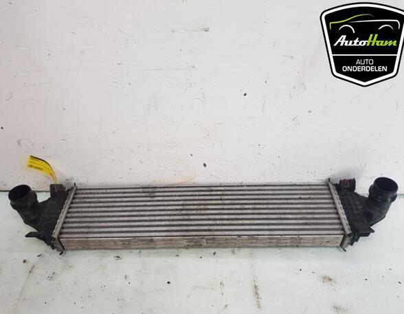 Intercooler FORD TRANSIT V363 Bus (FAD, FBD), FORD TRANSIT V363 Van (FCD, FDD)