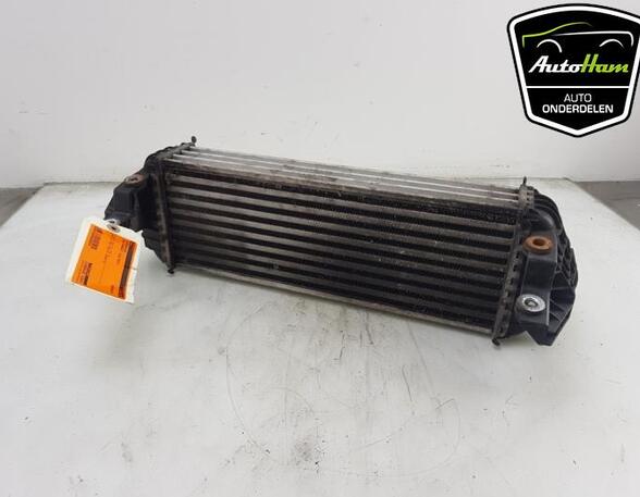 Intercooler FORD TRANSIT CUSTOM V362 Van (FY, FZ), FORD TRANSIT CONNECT (P65_, P70_, P80_)