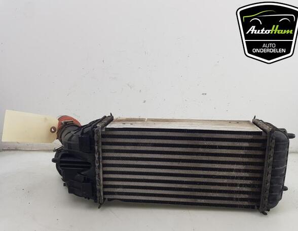 Intercooler CITROËN DS3, CITROËN C3 II (SC_), OPEL CROSSLAND X / CROSSLAND (P17, P2QO)