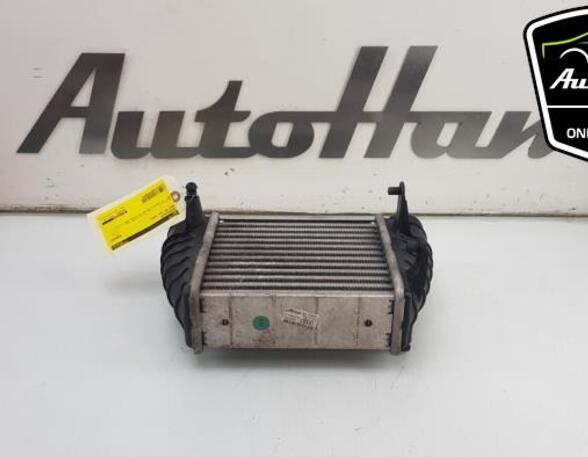 Interkoeler tussenkoeler AUDI A4 Avant (8ED, B7), AUDI A4 B7 Convertible (8HE)