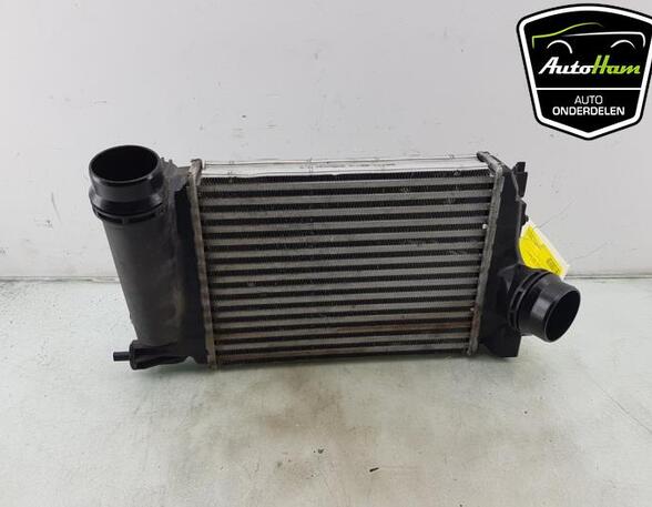 Intercooler RENAULT MEGANE IV Hatchback (B9A/M/N_)