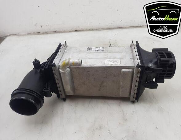 Intercooler SKODA KODIAQ (NS7, NV7, NS6), SEAT LEON (KL1), SKODA OCTAVIA IV Combi (NX5), VW GOLF VIII (CD1)