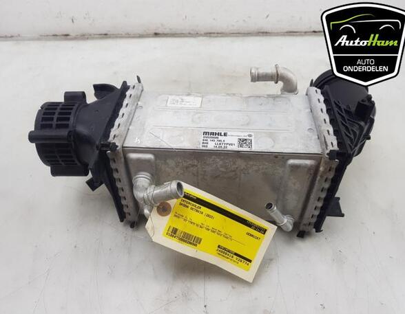 Intercooler SKODA KODIAQ (NS7, NV7, NS6), SEAT LEON (KL1), SKODA OCTAVIA IV Combi (NX5), VW GOLF VIII (CD1)