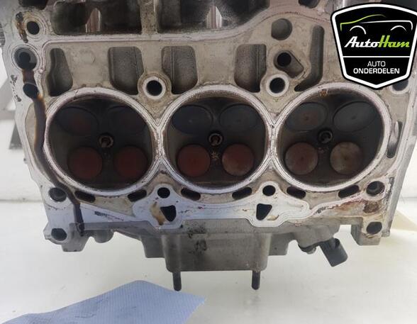 Cylinder Head SEAT IBIZA V (KJ1, KJG)