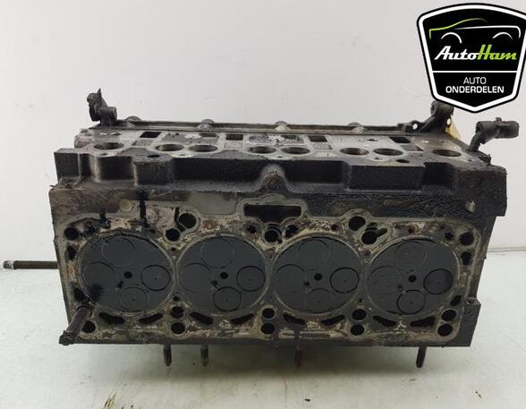 Cylinder Head VW GOLF V (1K1), VW GOLF VI (5K1)