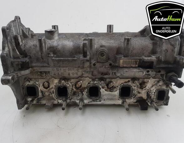 Cylinder Head CHEVROLET AVEO Hatchback (T300), FIAT GRANDE PUNTO (199_), FIAT PUNTO (199_), FIAT PUNTO EVO (199_)