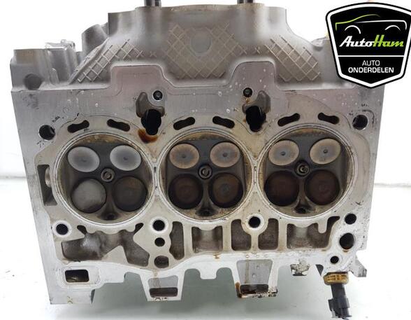 Cylinder Head AUDI A3 Sportback (8YA), SEAT IBIZA V (KJ1, KJG)