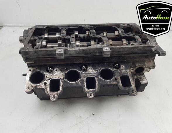 Cylinder Head SEAT IBIZA IV (6J5, 6P1), SEAT IBIZA IV SC (6J1, 6P5), VW POLO (6R1, 6C1), VW POLO Van (6R)