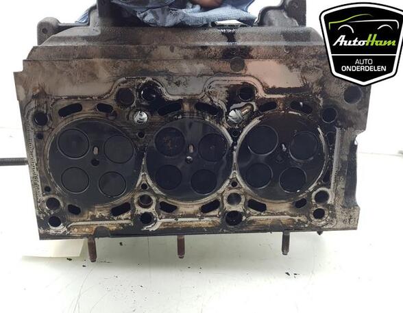 Cylinder Head SEAT IBIZA IV (6J5, 6P1), SEAT IBIZA IV SC (6J1, 6P5), VW POLO (6R1, 6C1), VW POLO Van (6R)