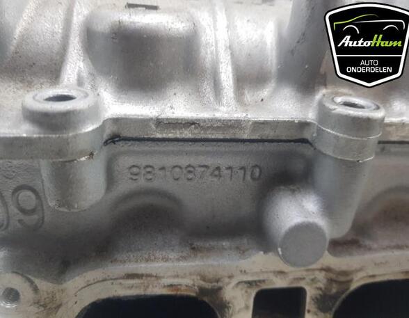 Cylinder Head PEUGEOT 2008 I (CU_), OPEL CORSA F (P2JO), PEUGEOT 2008 II (UD_, US_, UY_, UK_)