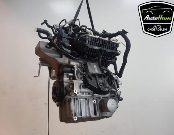 Bare Engine SKODA RAPID (NH3, NK3, NK6)