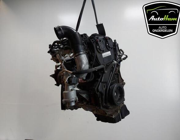 Motor kaal AUDI A5 Sportback (F5A, F5F), AUDI A4 Avant (8W5, 8WD, B9)