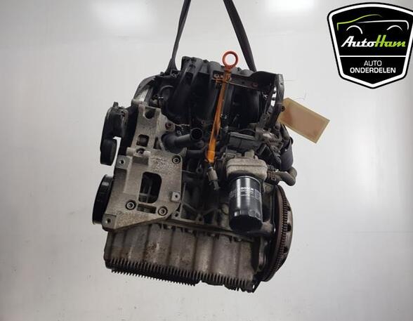 Bare Engine SEAT ALTEA (5P1)