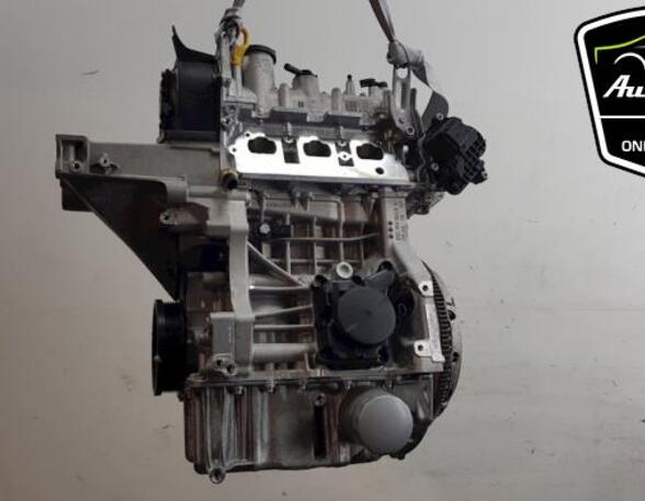 Bare Engine VW POLO (AW1, BZ1), SEAT IBIZA V (KJ1, KJG)