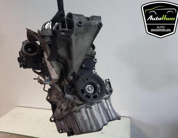 Bare Engine SEAT IBIZA IV (6J5, 6P1)