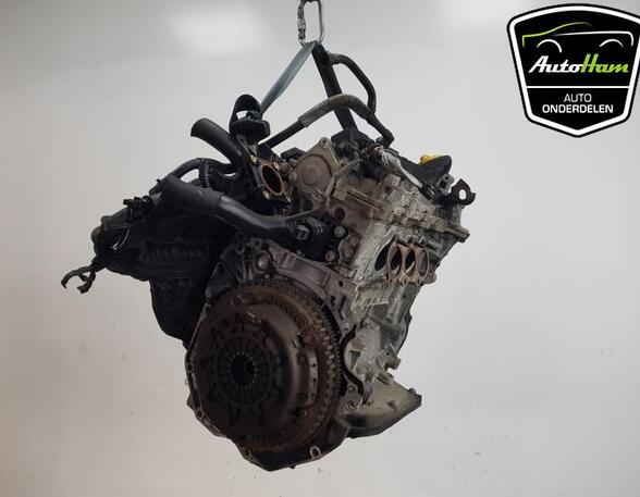 Bare Engine RENAULT TWINGO III (BCM_, BCA_)