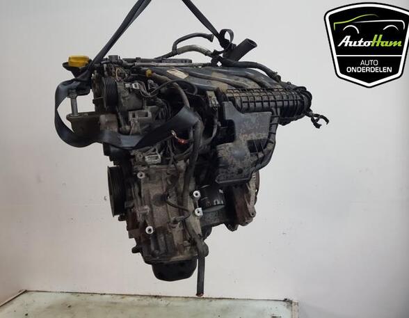 Bare Engine RENAULT TWINGO III (BCM_, BCA_)