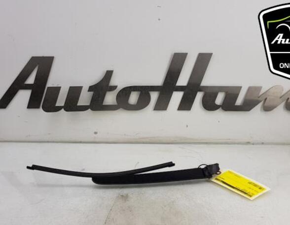 Wiper Arm AUDI A1 (8X1, 8XK), AUDI A1 Sportback (8XA, 8XF)