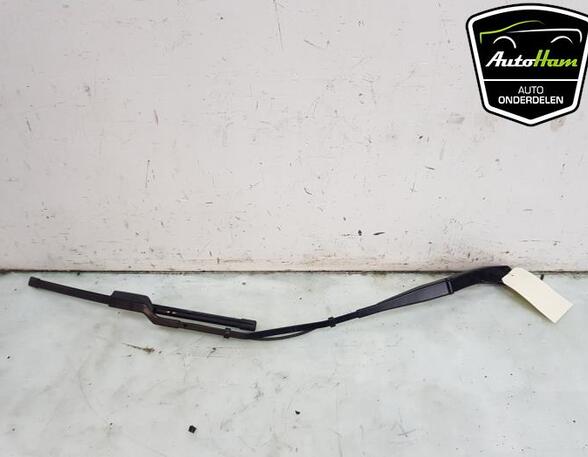 Wiper Arm TESLA MODEL S (5YJS)