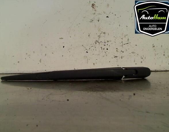 Wiper Arm RENAULT TWINGO II (CN0_)