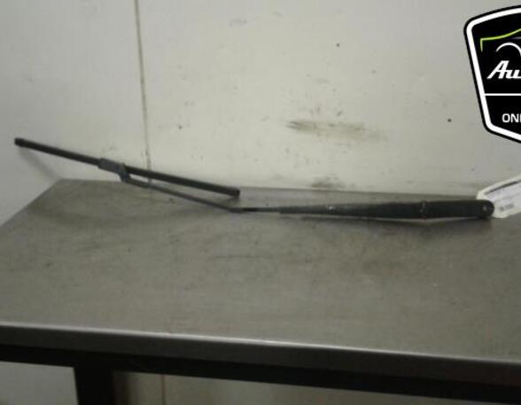 Wiper Arm VW JETTA III (1K2)