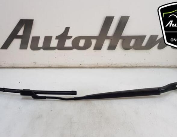 Wiper Arm OPEL CORSA F (P2JO), PEUGEOT 2008 II (UD_, US_, UY_, UK_), PEUGEOT 208 II (UB_, UP_, UW_, UJ_)