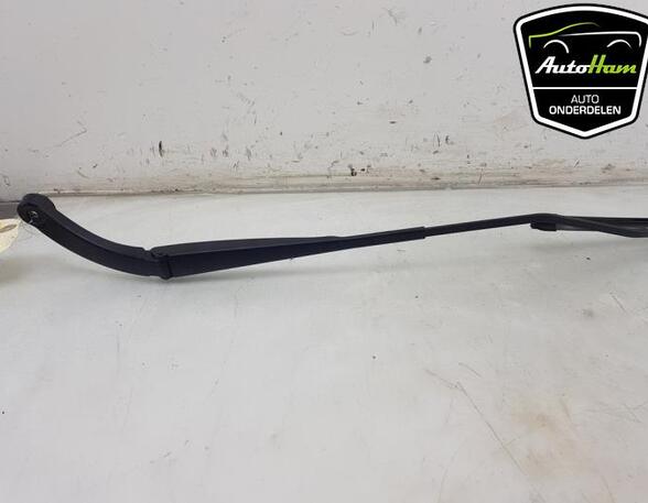 Wiper Arm RENAULT EXPRESS Box Body/MPV