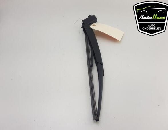 Wiper Arm OPEL CORSA F (P2JO), PEUGEOT 208 II (UB_, UP_, UW_, UJ_), PEUGEOT 2008 II (UD_, US_, UY_, UK_)