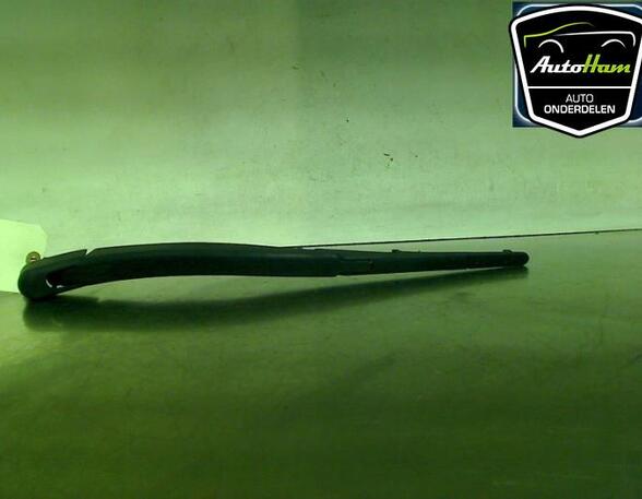 Wiper Arm FORD FIESTA VI (CB1, CCN)