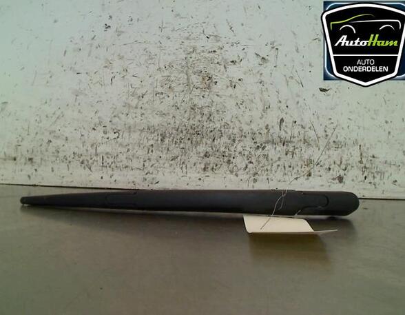 Wiper Arm RENAULT TWINGO II (CN0_)