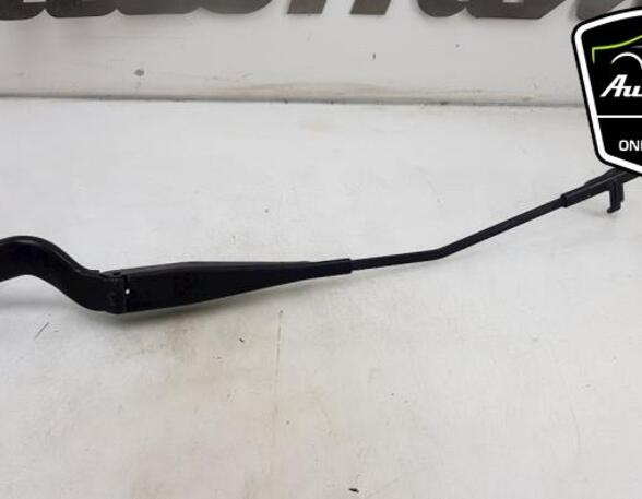 Wiper Arm FORD FOCUS C-MAX (DM2), FORD C-MAX (DM2)