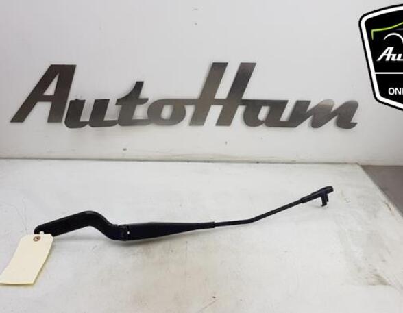 Wiper Arm FORD FOCUS C-MAX (DM2), FORD C-MAX (DM2)