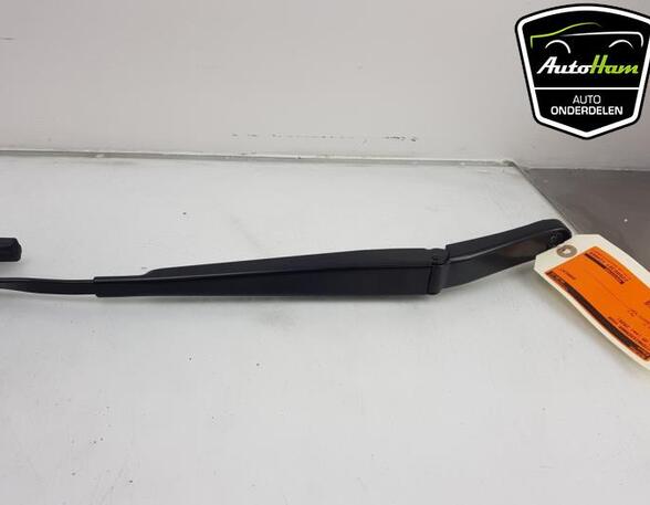 Wiper Arm AUDI Q5 (FYB, FYG)