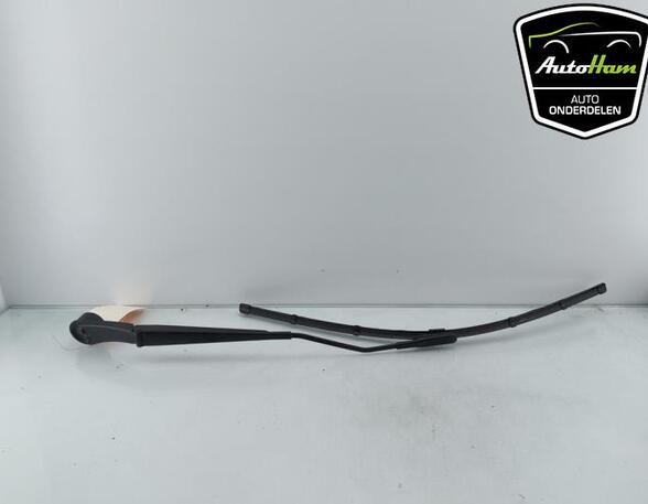 Wiper Arm FORD TRANSIT CONNECT V408 Box Body/MPV