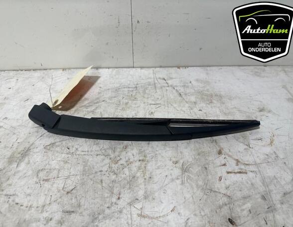 Wiper Arm PEUGEOT 2008 II (UD_, US_, UY_, UK_), PEUGEOT 208 II (UB_, UP_, UW_, UJ_), OPEL CORSA F (P2JO)