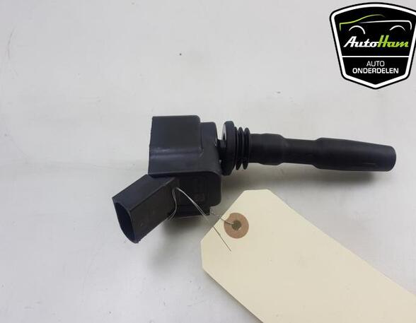 Ignition Coil VW POLO (6R1, 6C1)