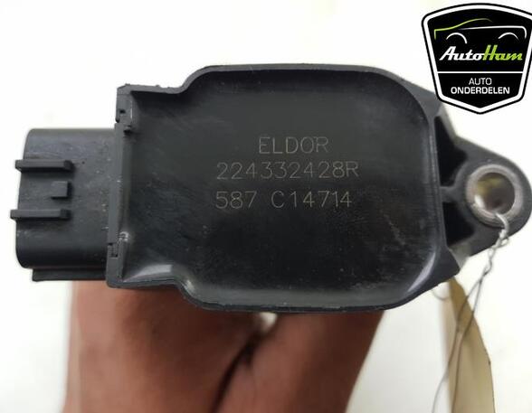 Ignition Coil NISSAN QASHQAI II SUV (J11, J11_)