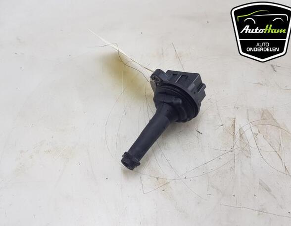 Ignition Coil FORD S-MAX (WA6)