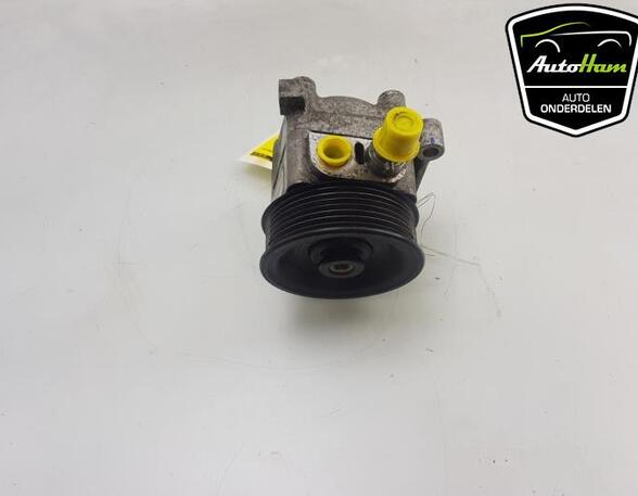 Power steering pump FIAT DUCATO Van (250_, 290_), FIAT DUCATO Bus (250_, 290_)