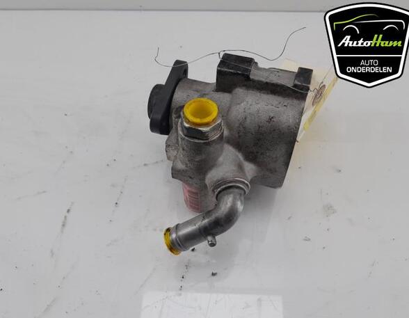 Power steering pump OPEL COMBO Box Body/MPV (X12), FIAT DOBLO Cargo (263_), FIAT DOBLO Platform/Chassis (263_)