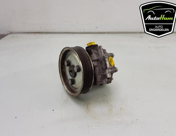 Power steering pump FIAT DOBLO Cargo (263_), OPEL COMBO Box Body/MPV (X12)