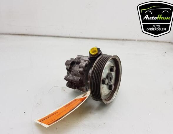 Power steering pump FIAT DOBLO Cargo (263_), OPEL COMBO Box Body/MPV (X12)