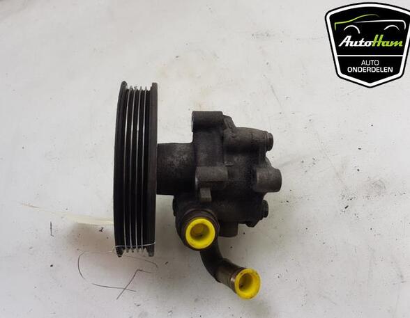 Servopumpe VW Passat Variant 3B6, B5.5 8D0145156K P18742361