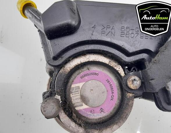 Power steering pump PEUGEOT 206+ (2L_, 2M_), PEUGEOT 206 Hatchback (2A/C)